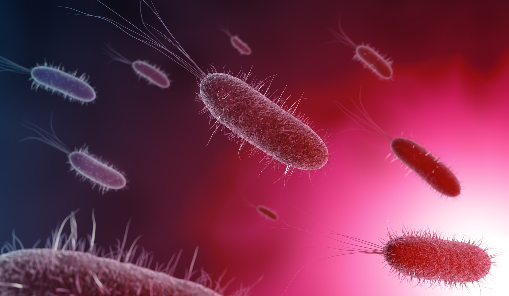 3d illustration of bacteria in pink background